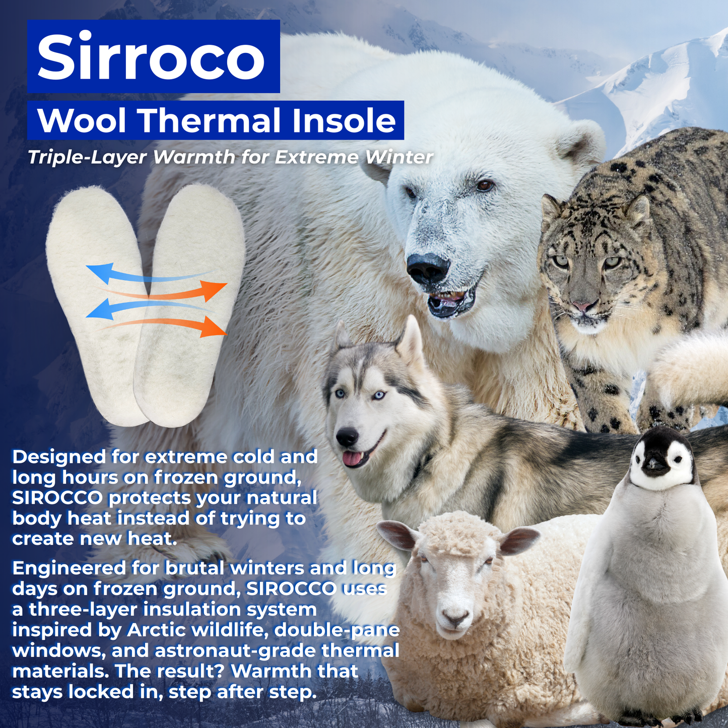 Caffrey Sirroco Thermal Wool Insoles