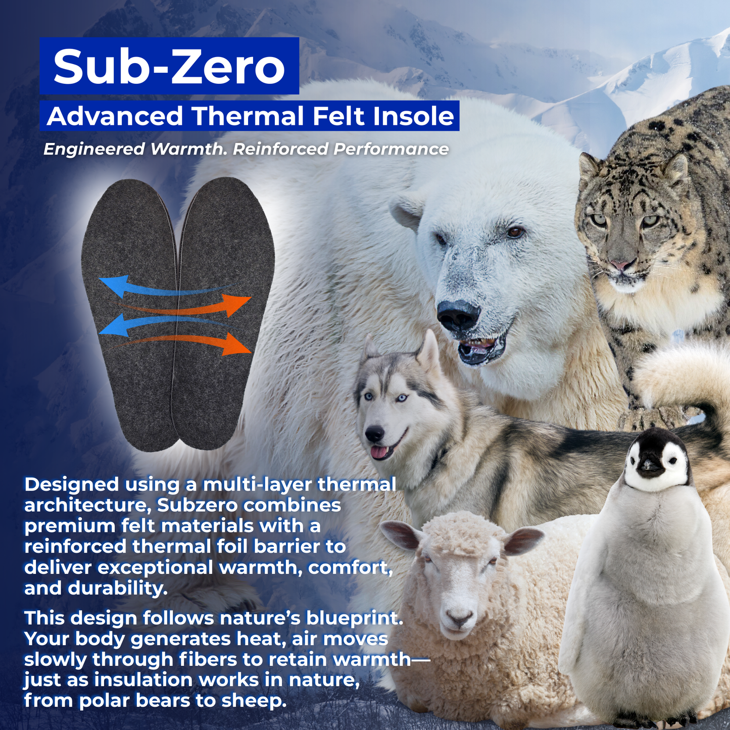 Caffrey Sub-Zero Thermal Insole