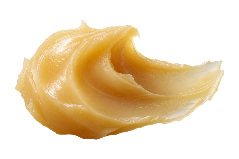 Illustration of lanolin